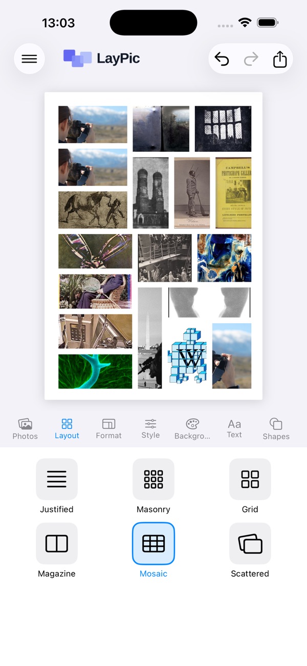 Screenshot 1 der App LayPic für iOS