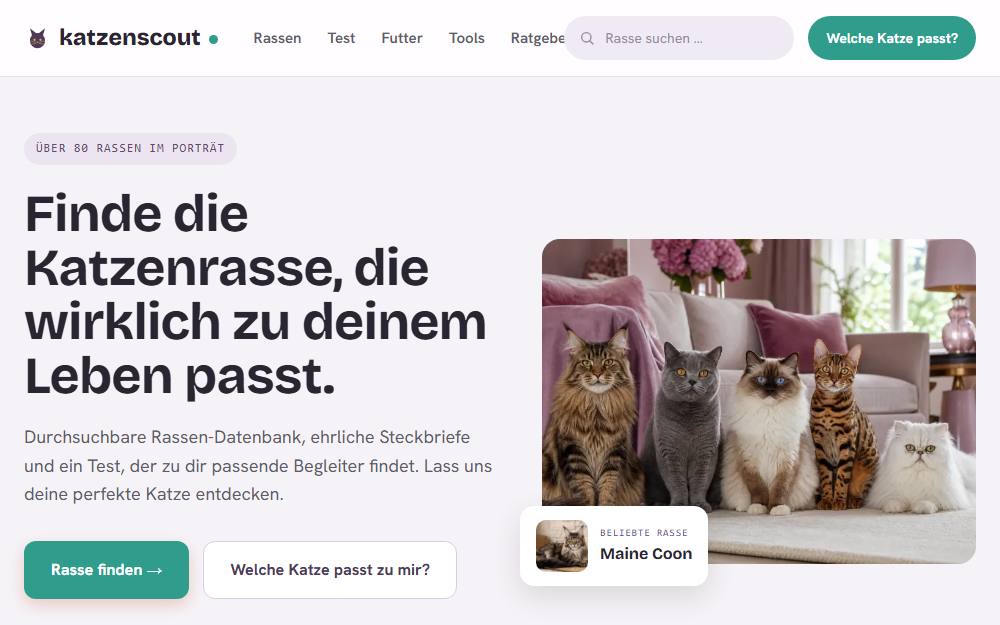 Screenshot of the website katzenscout