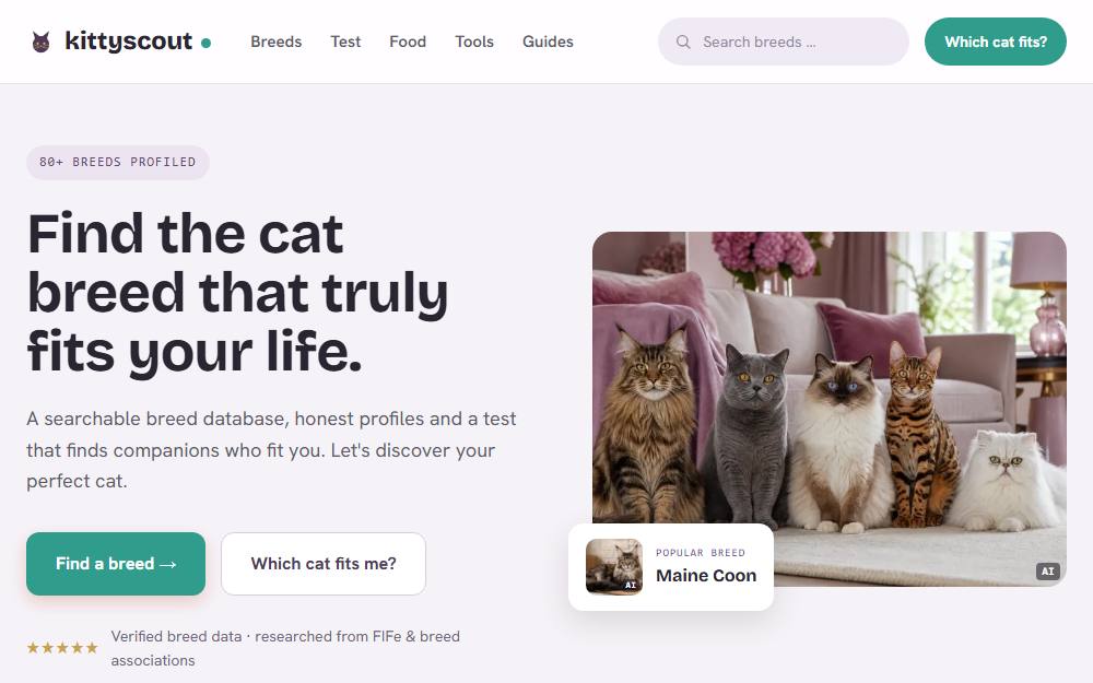 Screenshot der Startseite von kittyscout, Ratgeber-Portal