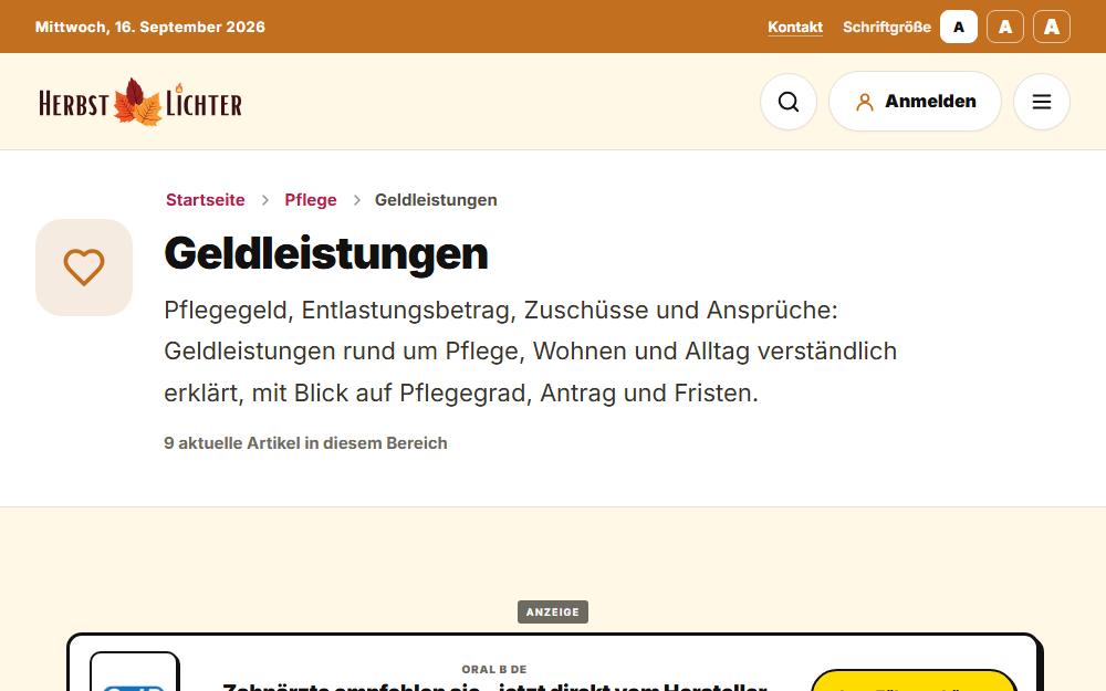 Screenshot herbstlichter.de/pflege/geldleistungen