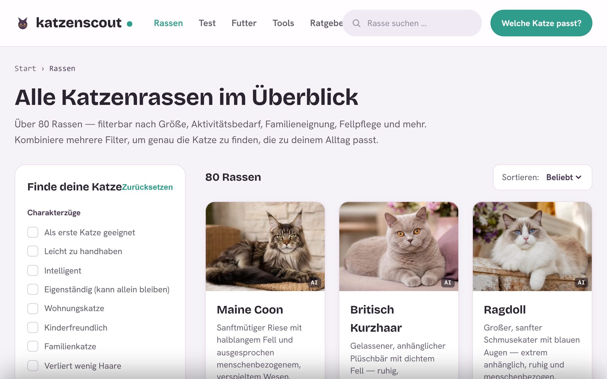 Rassenübersicht von katzenscout.de mit Filtern für Charakter und Haltung